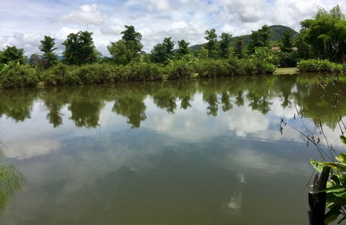Pai Hotel | Bueng Pai Farm
