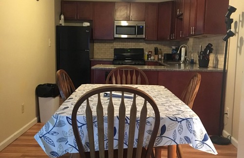 Willert Park House | Buffalo Downtown Condo/WIFI/Air/close to Falls/Spacious/Harbor center close