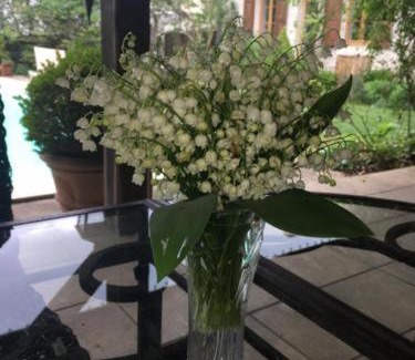 Juvancourt Bed & Breakfast | Bulles & Bubbles...