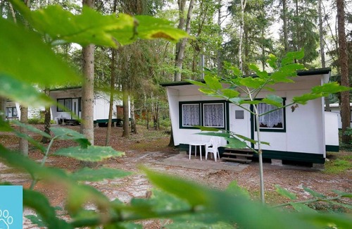 Bakenberg Apartment | Bungalowdorf Ruhe & Sturm - Category 2 No. 14 - Ferienpark Bakenberg