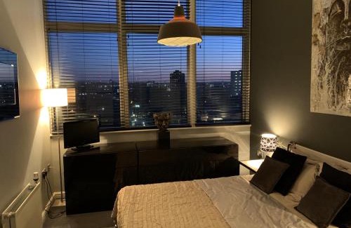 Faraday House | Burgess Park Penthouse