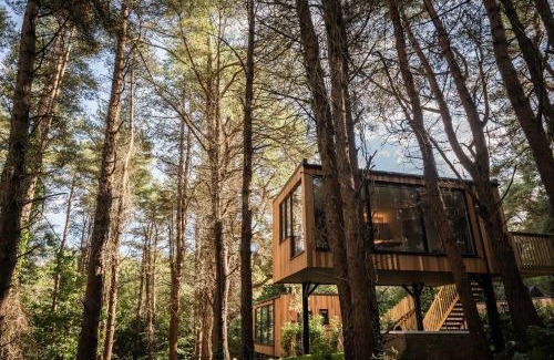 Coleraine Cabin | Burrenmore Nest - Luxury Forest Lodges with Hot Tubs & Sauna