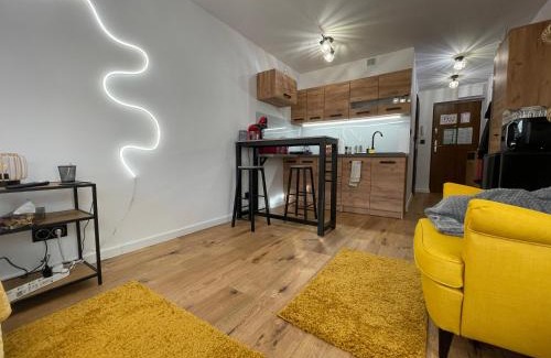 Katowice Apartment | Business Class Studio Apartment Katowice Silesia City Center