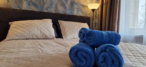 Siauliai City Center Apartment | Butas centre Draugystės gatvėje