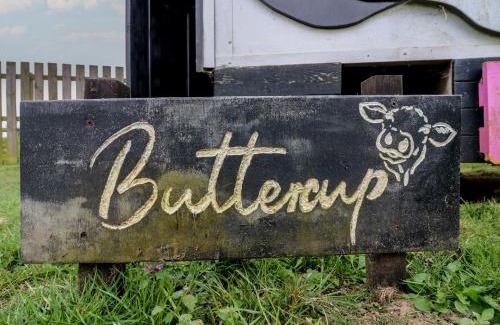 Woodbridge House | Buttercup Cow Shed 3