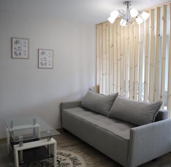 Siauliai Apartment | Butterfly apartment