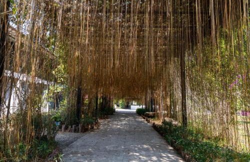 Vientiane Hotel | Butterfly Valley