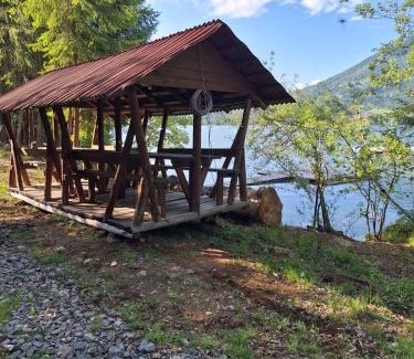 Bistrita Bargaului House | Căbănuța Busuioc Colibita