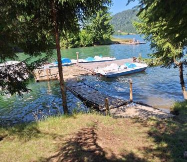 Bistrita Bargaului House | Căbănuța Busuioc Colibita