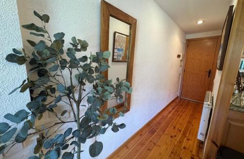 Cerler Apartment | C09 - Apartamento Pirineos - Villmor
