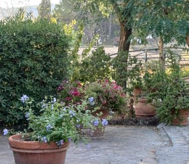 Rosignano Marittimo Apartment | Casale rustico Poggiarino diB&L
