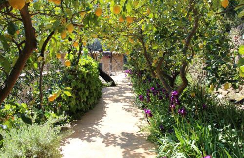 Soller House | Ca Na Menga
