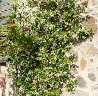 Monterenzio Bed & Breakfast | Cá Pradella - Harmony and Nature, Bed & Breakfast