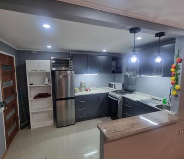 Ancud Apartment | Cabaña