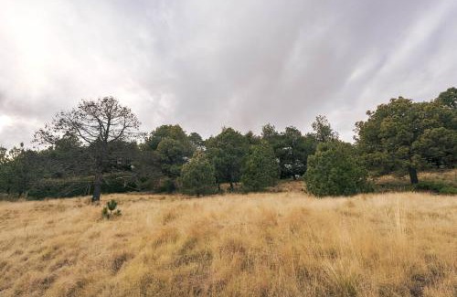 Tlalpan Apartment | Cabaña en el Ajusco, experiencia única en la naturaleza