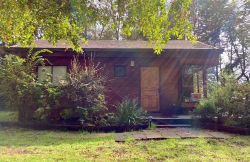Valdivia House | Cabaña entre árboles