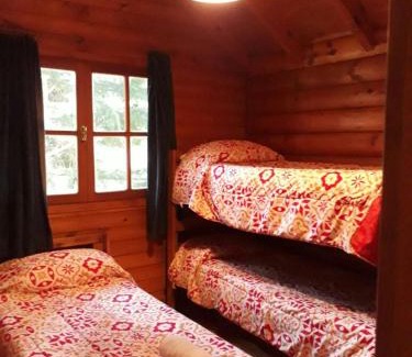 Lanin National Park Apartment | cabaña junto al arroyo