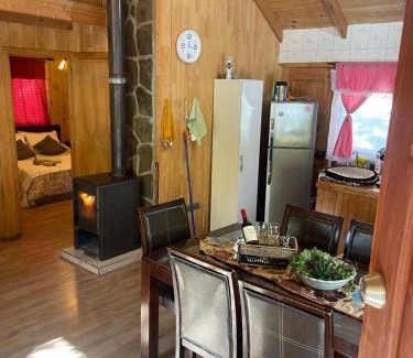 Pinto Ski Chalet | Cabaña las Trancas