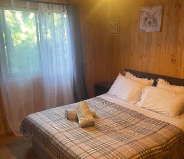 Pinto Ski Chalet | Cabaña las Trancas