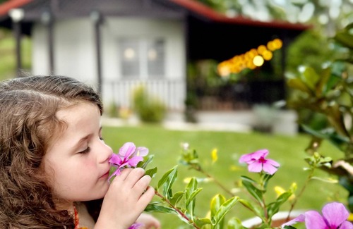 Cerro Cabin | Cabaña entre Pinos: Piscina c cale Fogata y Mini Golf en Cayey parejas, familias