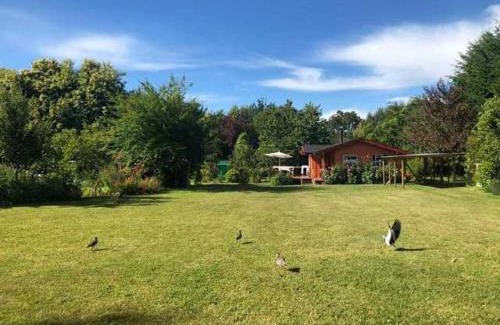 Las Chilcas House | Cabaña Rosita Pucon