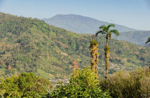 Pejibaye Other | Cabaña Rustica Chepe Araya