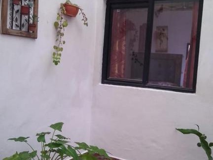 Mazamitla Cabin | Cabaña Tierra Morena