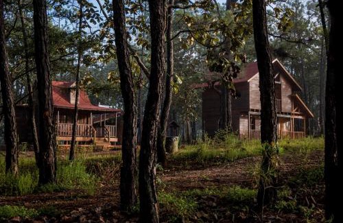 Mascota Ski Chalet | Cabaña Venado refugio en el bosque para 3 personas