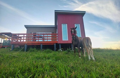 Ancud House | Cabaña y Tinaja Rosaura Mistika
