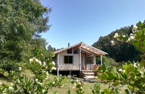 Panguipulli House | Cabañas Aliwen Panguipulli