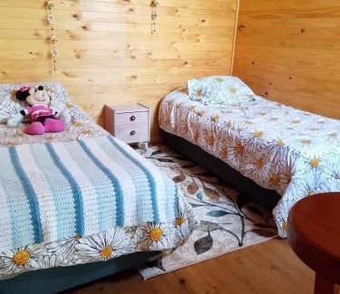 Pinto Apartment | Cabañas Alturas Chillan Katalina