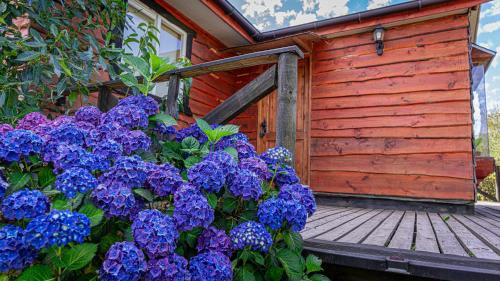 Puerto Varas Cabin | Cabañas Estrella del Sur