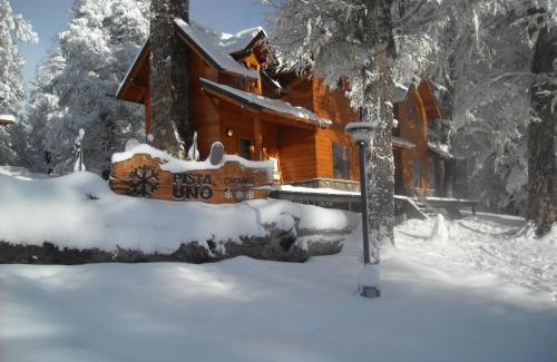 Lanin National Park Cabin | Cabañas Pista Uno Ski Village - Cerro Chapelco