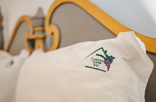 Miercurea Sibiului House | Cabana Dintre Vii