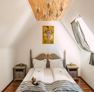 Miercurea Sibiului House | Cabana Dintre Vii