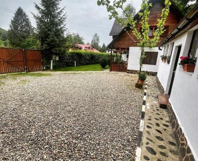 Avrig House | Cabana Tudor