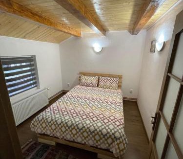 Avrig House | Cabana Tudor