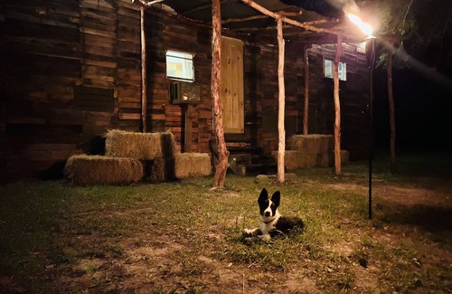 Huntsville Cabin | Cabin 2 near the river nestled next to Sam Houston Park with a fire pit