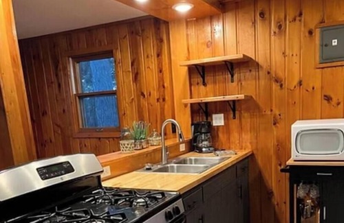 Pine River Apartment | Cabin 6 at Heath's Resort