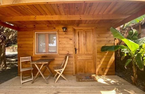 San Bartolome Cabin | Cabin in nature