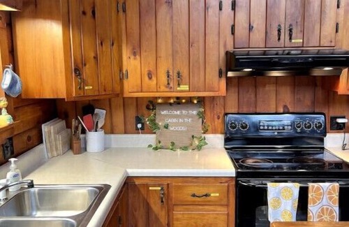 East Branch Cabin | Cabin in the Woods π³πͺ΅