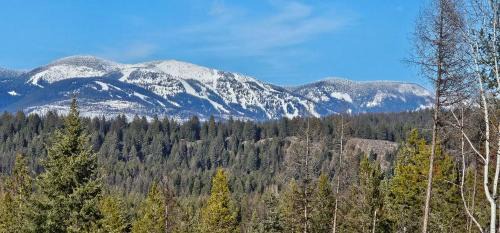 Whitefish House | Cabin on 15 acres with Mtn view, firepit, Starlink