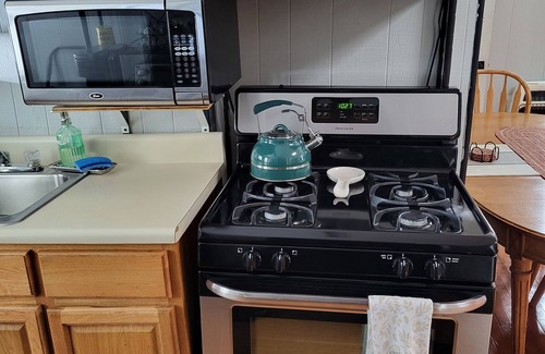 Woodbourne Cabin | Cabin with fireplace/lake access/dog friendly