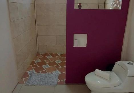Bijagua Apartment | Cabinas Río Celeste