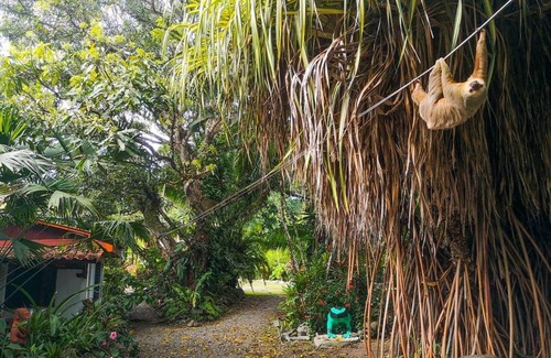 Cahuita Cabin | Cabinas Tito