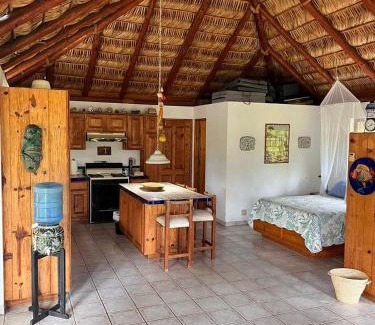 Cabo Pulmo Hotel | Cabo Pulmo Beach Resort