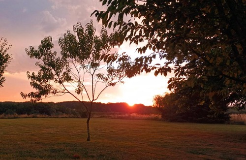 Servignat Bed & Breakfast | Cadol'Ain