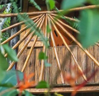 Ubatuba House | Cambuca Surf Skate