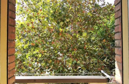 Saragozza-Porto Bed & Breakfast | camera d'or