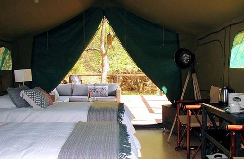 Thorny Bush Game Reserve Other | Camp Bethel